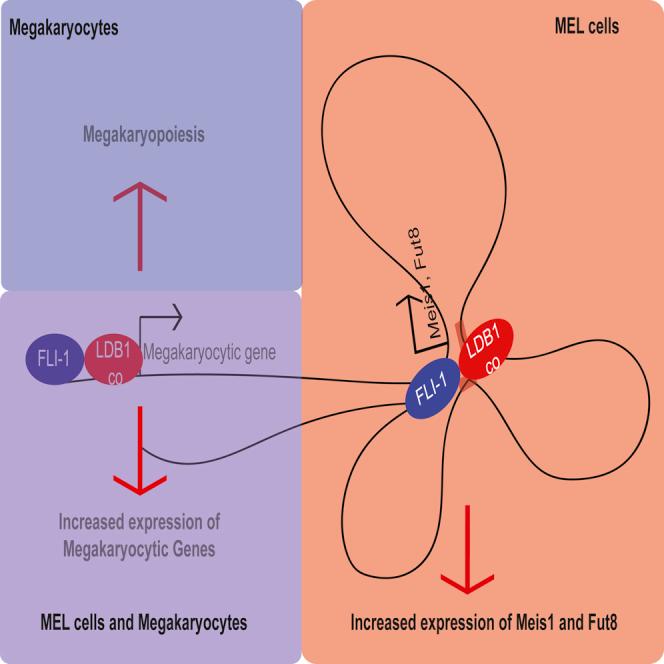 https://cdn.ncbi.nlm.nih.gov/pmc/blobs/ddbb/7940982/d7062b3b402f/fx1.jpg