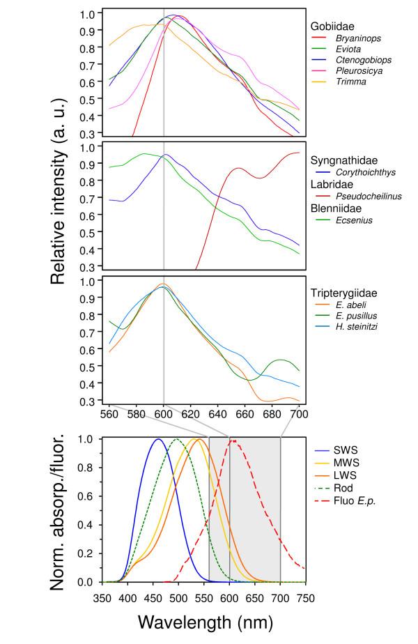 https://cdn.ncbi.nlm.nih.gov/pmc/blobs/ddbf/2567963/e671bb07a645/1472-6785-8-16-6.jpg