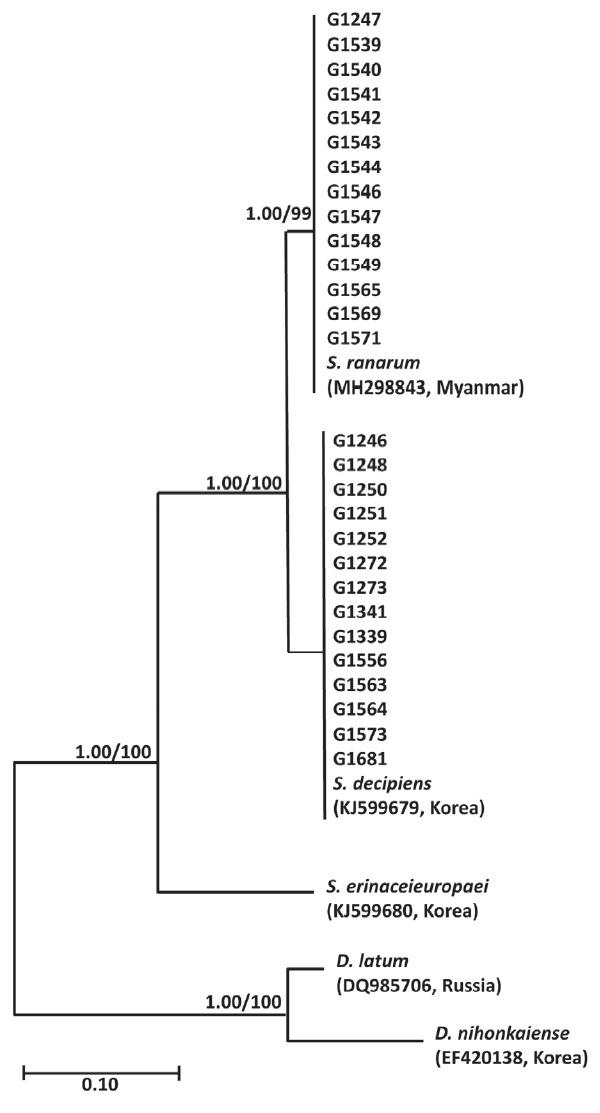 https://cdn.ncbi.nlm.nih.gov/pmc/blobs/ddbf/6137302/722b30004531/kjp-56-4-359f1.jpg