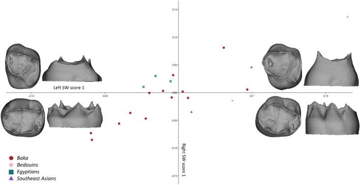 https://cdn.ncbi.nlm.nih.gov/pmc/blobs/ddc2/8363745/0d191b66acb9/41598_2021_95524_Fig2_HTML.jpg