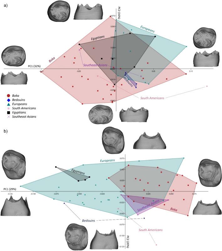 https://cdn.ncbi.nlm.nih.gov/pmc/blobs/ddc2/8363745/7b124b487765/41598_2021_95524_Fig1_HTML.jpg