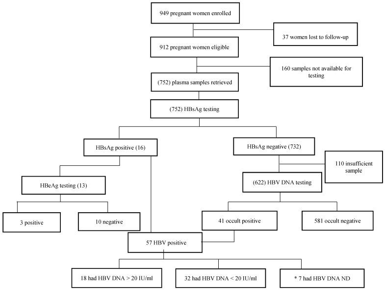 https://cdn.ncbi.nlm.nih.gov/pmc/blobs/ddc4/5977199/4f9637ed016e/genes-09-00259-g001.jpg