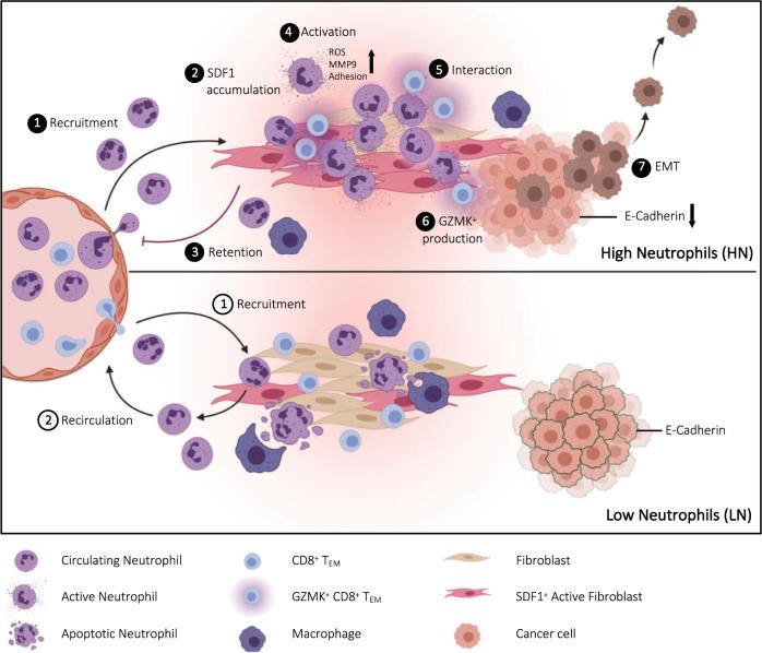 https://cdn.ncbi.nlm.nih.gov/pmc/blobs/ddc5/9643357/21df60843de2/41467_2022_34467_Fig7_HTML.jpg