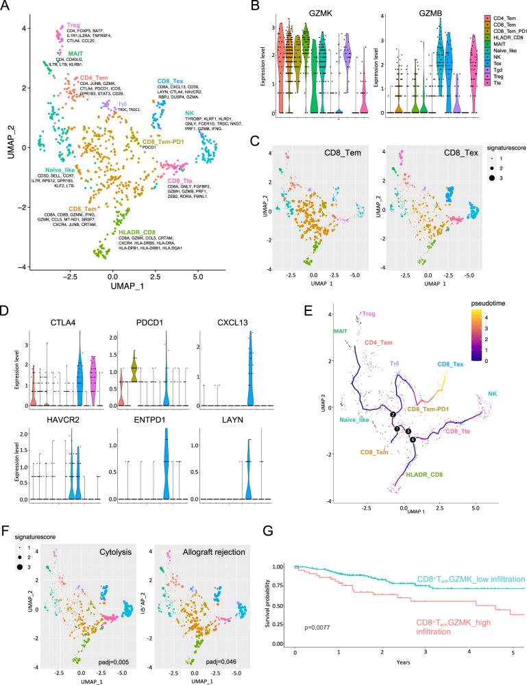 https://cdn.ncbi.nlm.nih.gov/pmc/blobs/ddc5/9643357/8aa7e99cd604/41467_2022_34467_Fig4_HTML.jpg