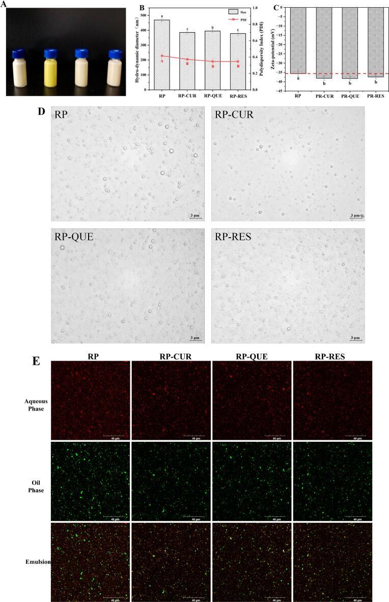 https://cdn.ncbi.nlm.nih.gov/pmc/blobs/ddc6/11129171/762fdb95905e/gr5.jpg