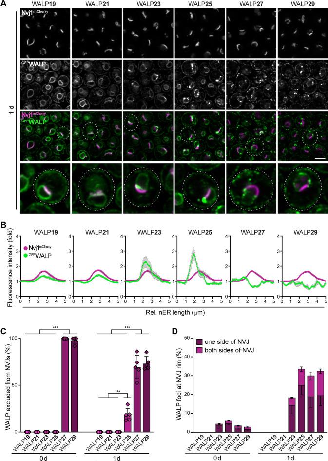 https://cdn.ncbi.nlm.nih.gov/pmc/blobs/ddc6/11176346/696417b55608/41598_2024_64493_Fig2_HTML.jpg