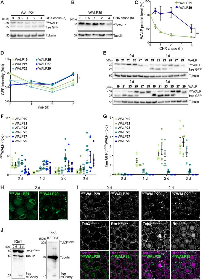 https://cdn.ncbi.nlm.nih.gov/pmc/blobs/ddc6/11176346/cb551db17cb8/41598_2024_64493_Fig3_HTML.jpg