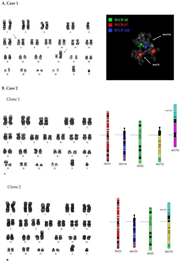 https://cdn.ncbi.nlm.nih.gov/pmc/blobs/ddc7/10742895/34e9ed7cb512/genes-14-02180-g001.jpg