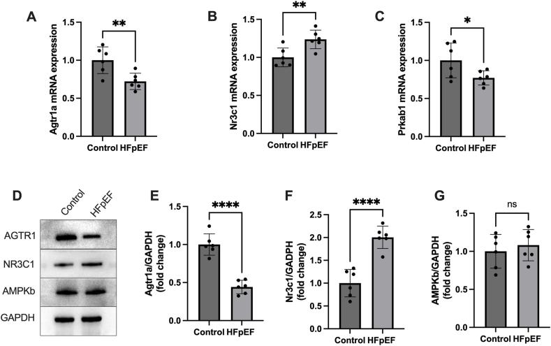 https://cdn.ncbi.nlm.nih.gov/pmc/blobs/ddc7/12053710/af5c4e59a4ba/gr4.jpg