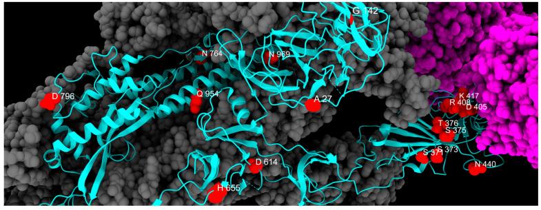 https://cdn.ncbi.nlm.nih.gov/pmc/blobs/ddc9/12347092/74949ffdaed8/ijms-26-07558-g005.jpg