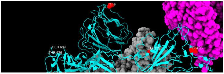 https://cdn.ncbi.nlm.nih.gov/pmc/blobs/ddc9/12347092/bcdde5de3a1b/ijms-26-07558-g009.jpg