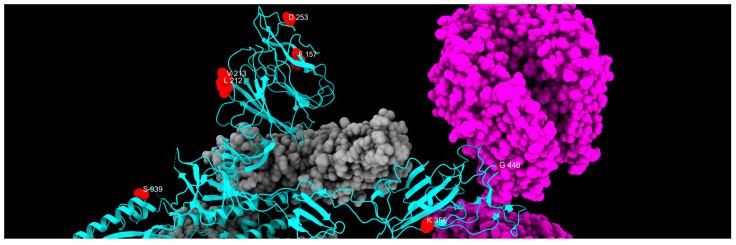 https://cdn.ncbi.nlm.nih.gov/pmc/blobs/ddc9/12347092/df480c41dc83/ijms-26-07558-g013.jpg