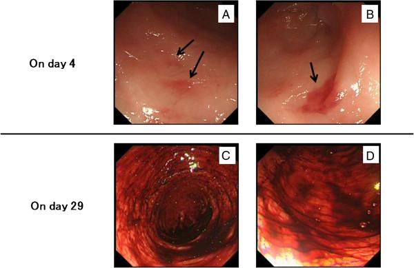 https://cdn.ncbi.nlm.nih.gov/pmc/blobs/ddc9/3558347/3f334f9eacf2/1756-0500-6-26-3.jpg