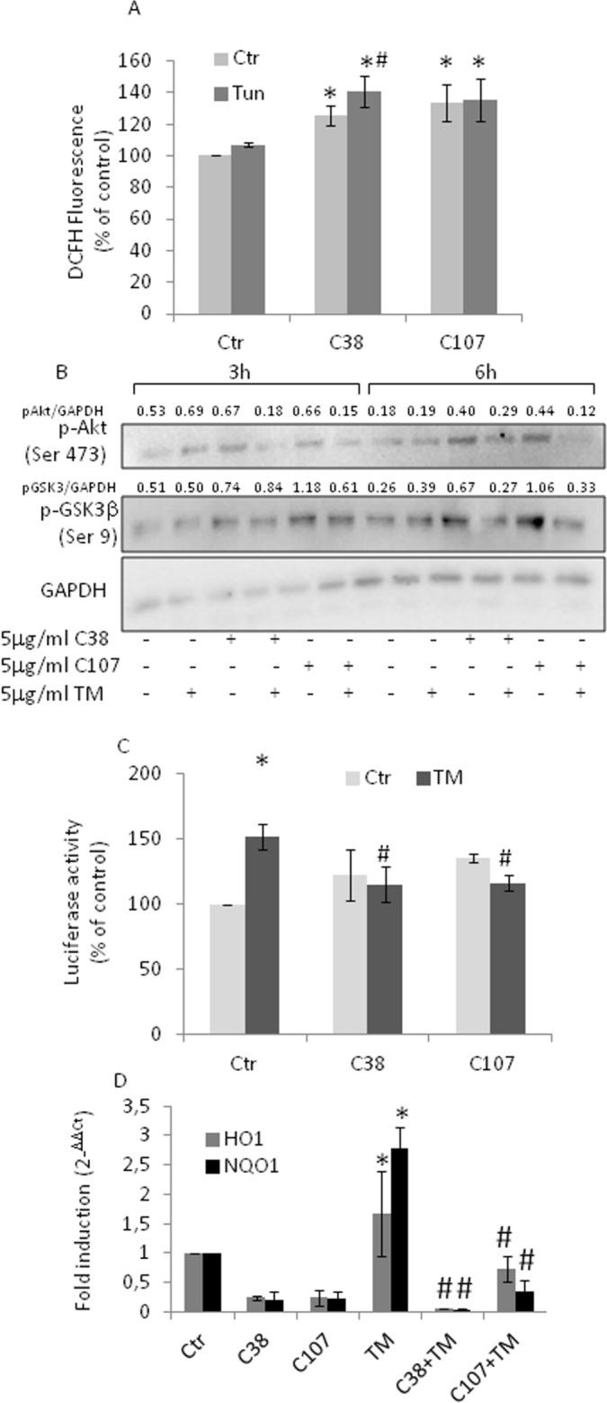 https://cdn.ncbi.nlm.nih.gov/pmc/blobs/ddca/5620189/81cc747e7d6d/oncotarget-08-67506-g005.jpg