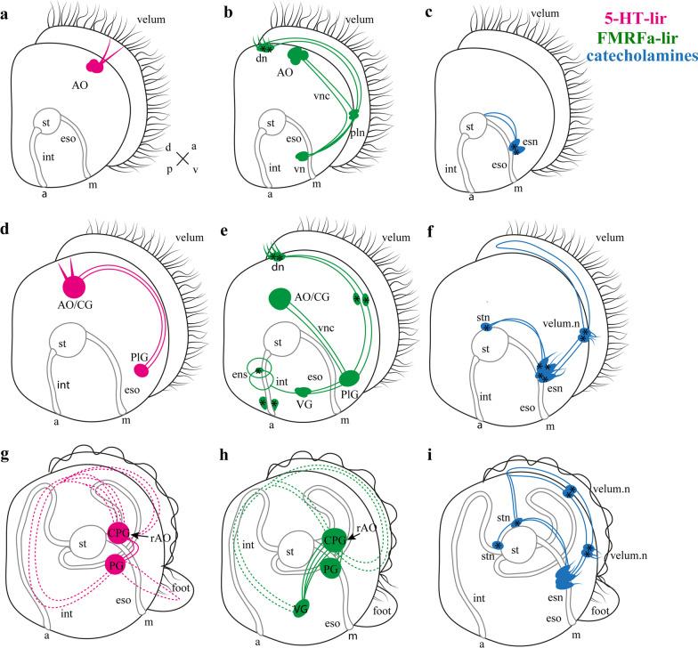 https://cdn.ncbi.nlm.nih.gov/pmc/blobs/ddcc/9347173/35efb8420ebd/12983_2022_468_Fig9_HTML.jpg