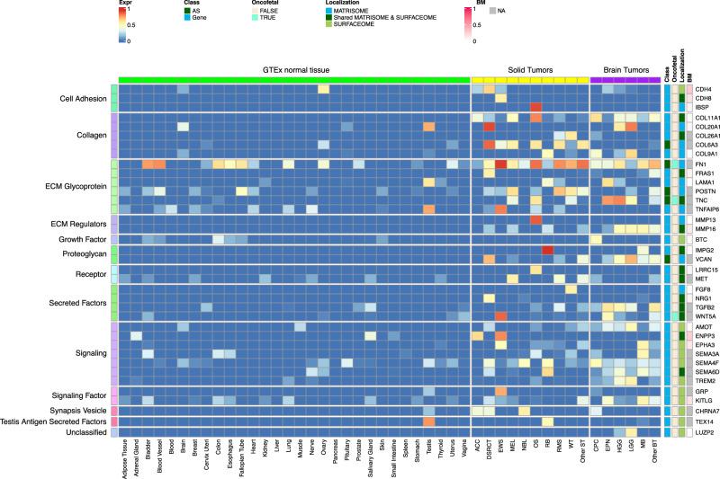 https://cdn.ncbi.nlm.nih.gov/pmc/blobs/ddce/11068777/04ce18463f8c/41467_2024_47649_Fig2_HTML.jpg