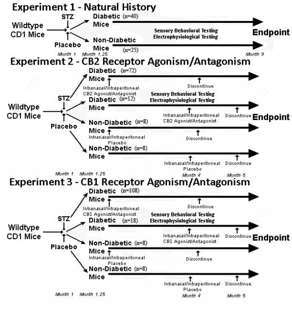 https://cdn.ncbi.nlm.nih.gov/pmc/blobs/ddcf/2845559/f0cf048982a5/1744-8069-6-16-1.jpg