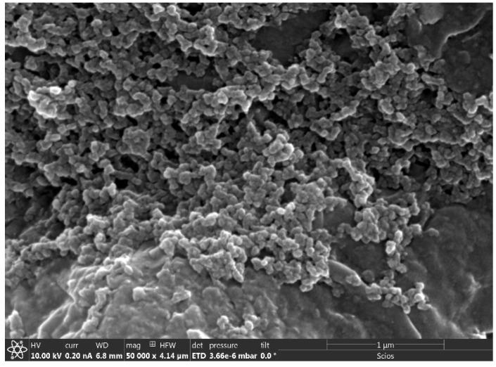 https://cdn.ncbi.nlm.nih.gov/pmc/blobs/ddcf/7221656/14d2aafdbd50/nanomaterials-10-00718-g003.jpg