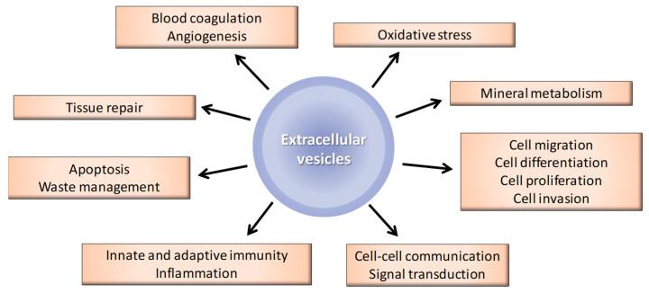 https://cdn.ncbi.nlm.nih.gov/pmc/blobs/ddcf/7767379/1415f742ce4a/toxins-12-00811-g002.jpg