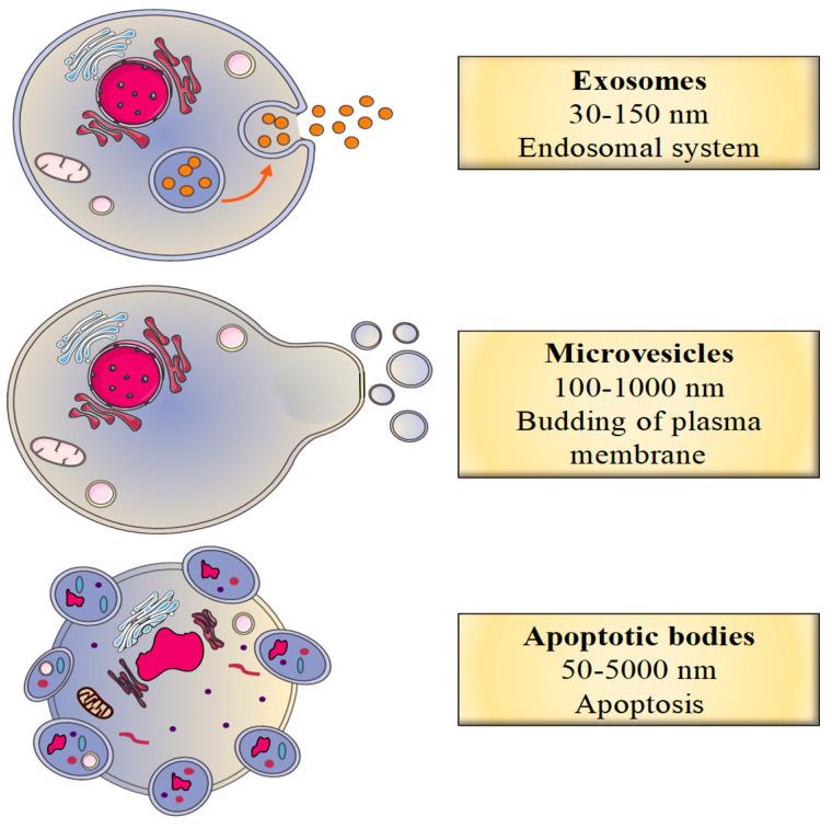 https://cdn.ncbi.nlm.nih.gov/pmc/blobs/ddcf/7767379/8974b83b8ca4/toxins-12-00811-g001.jpg