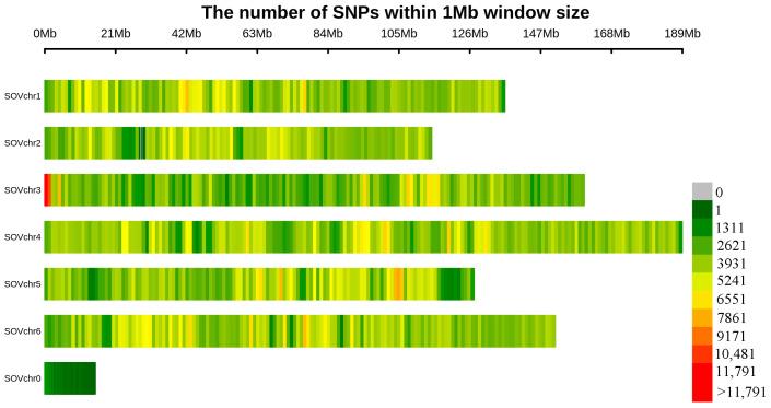 https://cdn.ncbi.nlm.nih.gov/pmc/blobs/ddd0/10887921/a0bf5c3a62e6/genes-15-00172-g002.jpg