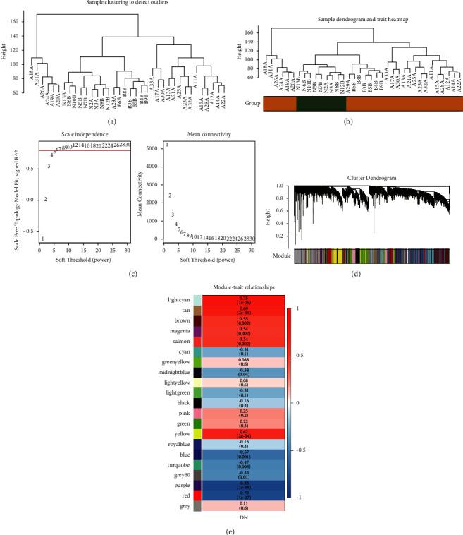 https://cdn.ncbi.nlm.nih.gov/pmc/blobs/ddd1/9825216/7ddd542947d4/ECAM2022-1067504.002.jpg