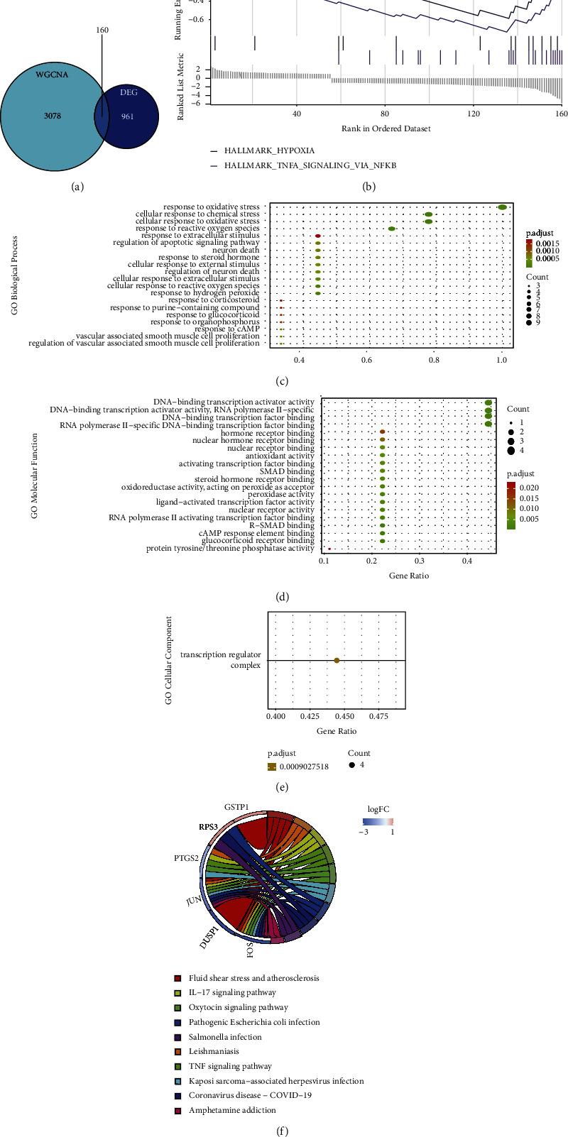 https://cdn.ncbi.nlm.nih.gov/pmc/blobs/ddd1/9825216/ab4f225d54b7/ECAM2022-1067504.003.jpg