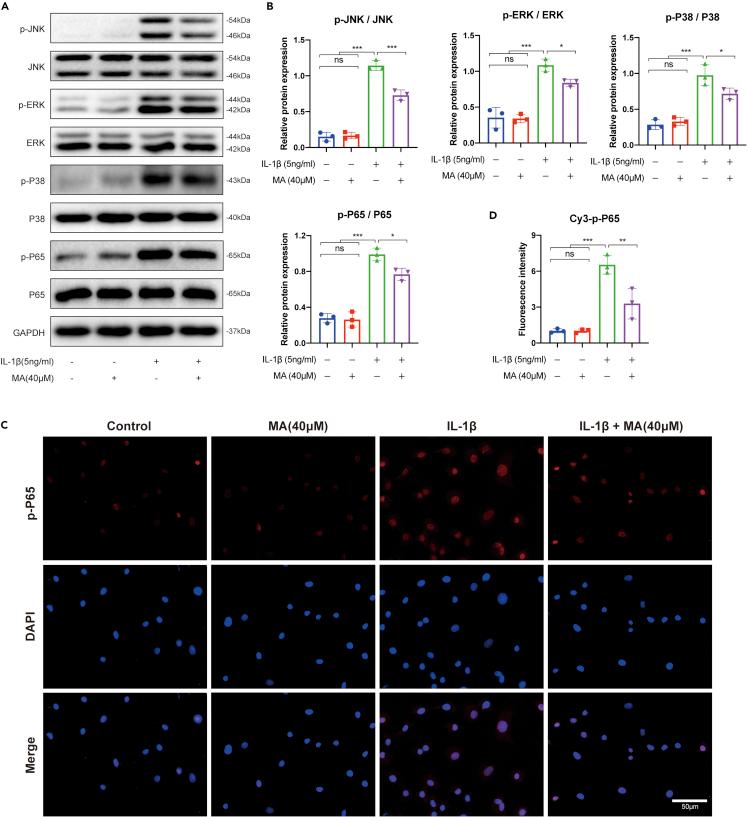 https://cdn.ncbi.nlm.nih.gov/pmc/blobs/ddd1/9868682/4208038fa0f1/gr5.jpg