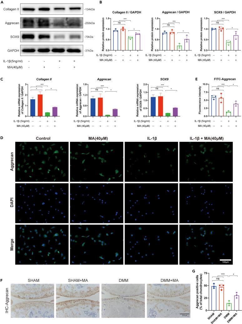 https://cdn.ncbi.nlm.nih.gov/pmc/blobs/ddd1/9868682/66d28c4ba0f2/gr4.jpg