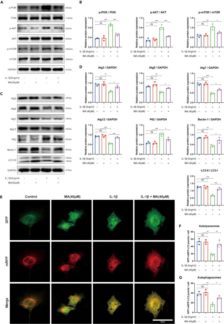 https://cdn.ncbi.nlm.nih.gov/pmc/blobs/ddd1/9868682/7886fea3af79/gr6.jpg