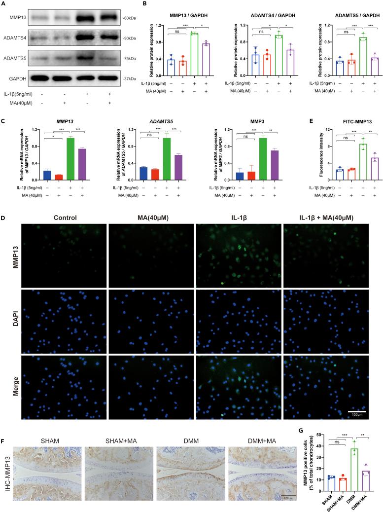 https://cdn.ncbi.nlm.nih.gov/pmc/blobs/ddd1/9868682/ce46aaf7efb5/gr3.jpg