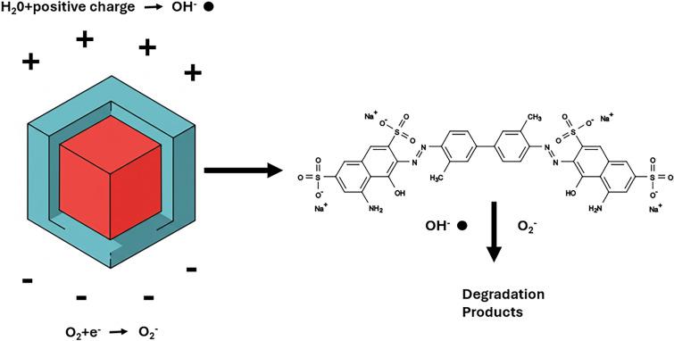 https://cdn.ncbi.nlm.nih.gov/pmc/blobs/ddd3/12145325/39959c0a0683/11664_2025_11843_Fig7_HTML.jpg