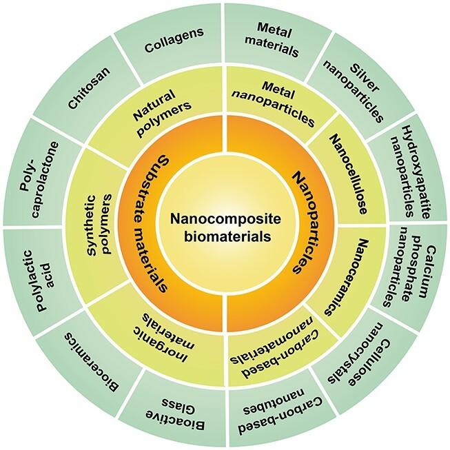 https://cdn.ncbi.nlm.nih.gov/pmc/blobs/ddd6/11162833/7f2b7fe1f95d/tkae036f2.jpg