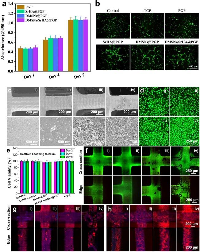 https://cdn.ncbi.nlm.nih.gov/pmc/blobs/ddd6/11162833/981808b65dd5/tkae036f4.jpg