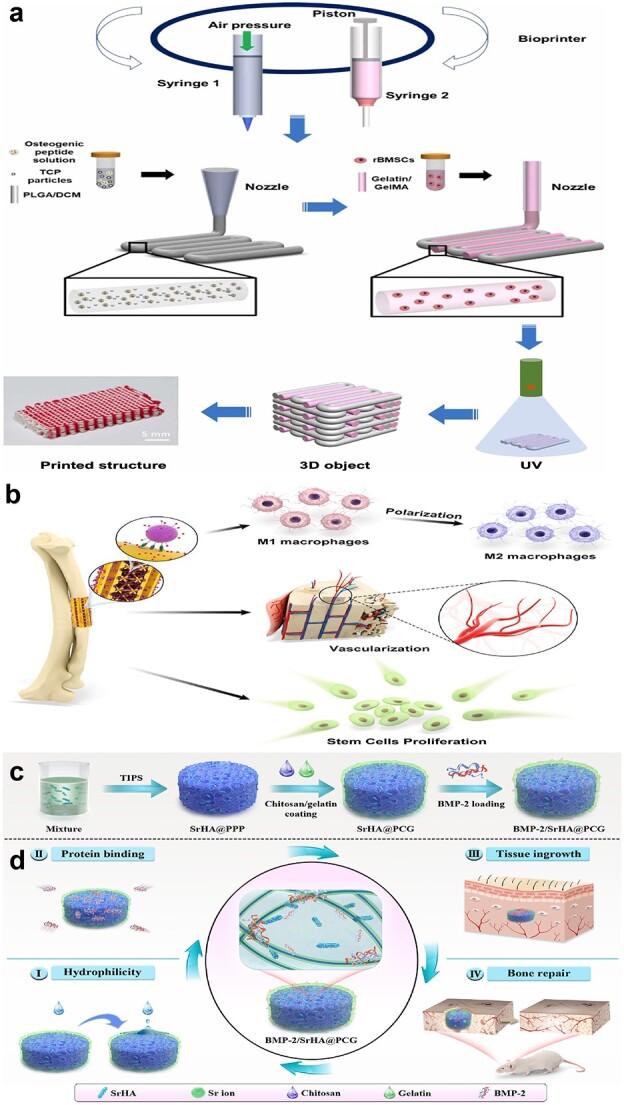 https://cdn.ncbi.nlm.nih.gov/pmc/blobs/ddd6/11162833/f2f41c296c8b/tkae036f8.jpg