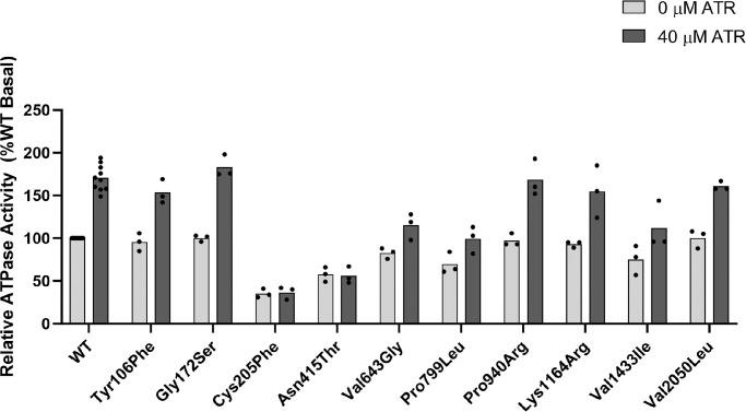 https://cdn.ncbi.nlm.nih.gov/pmc/blobs/ddd8/11305421/70b08d9d9404/iovs-65-10-2-f004.jpg
