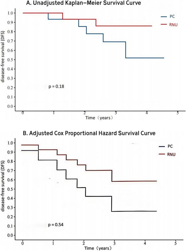 https://cdn.ncbi.nlm.nih.gov/pmc/blobs/ddda/12167339/660593da3ae0/11255_2025_4395_Fig2_HTML.jpg