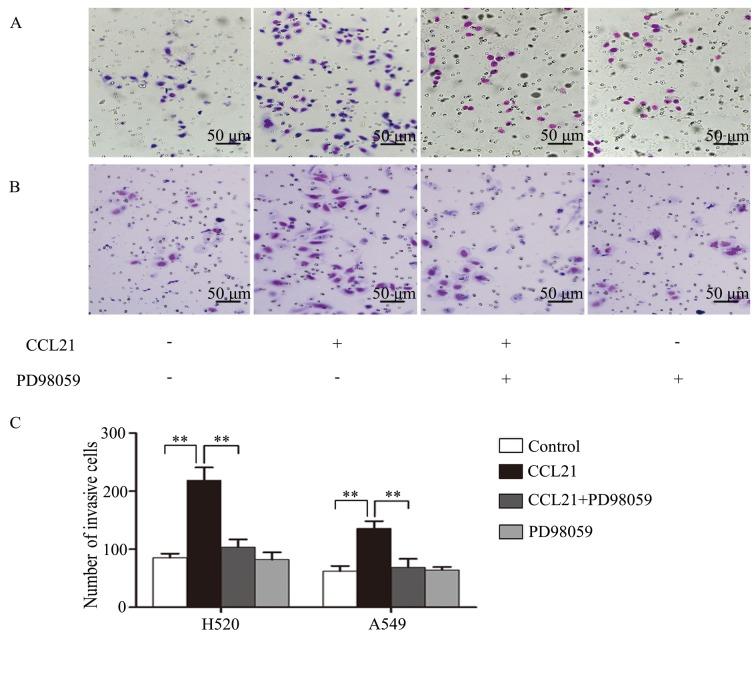 https://cdn.ncbi.nlm.nih.gov/pmc/blobs/dddd/5436267/79c83a156460/MMR-15-06-4100-g03.jpg