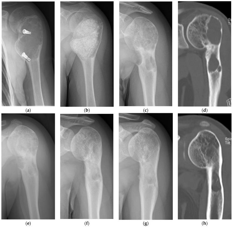 https://cdn.ncbi.nlm.nih.gov/pmc/blobs/ddde/10886059/021c050025b5/bioengineering-11-00180-g003.jpg