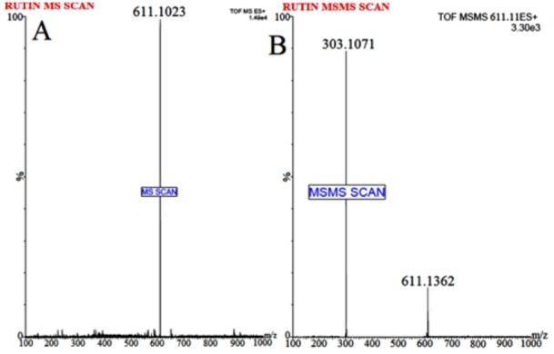 https://cdn.ncbi.nlm.nih.gov/pmc/blobs/ddde/5225736/01ac25616433/EXCLI-15-518-g-001.jpg