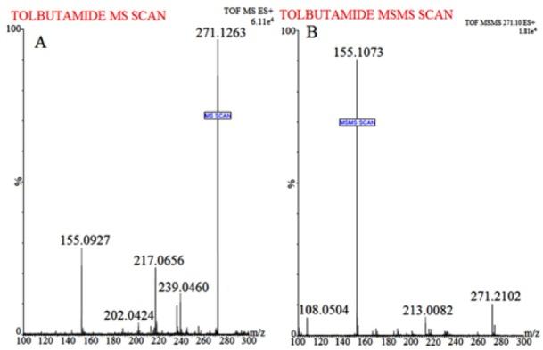 https://cdn.ncbi.nlm.nih.gov/pmc/blobs/ddde/5225736/7bada57a09a2/EXCLI-15-518-g-002.jpg