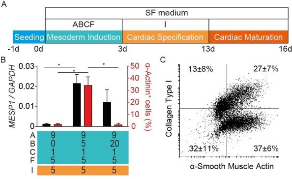 https://cdn.ncbi.nlm.nih.gov/pmc/blobs/ddde/8597156/86fdff2539e5/CMDC-16-3300-g006.jpg