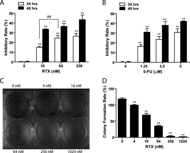 https://cdn.ncbi.nlm.nih.gov/pmc/blobs/dddf/7838684/ae1821401ecf/OR-23-237-g002.jpg
