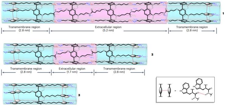 https://cdn.ncbi.nlm.nih.gov/pmc/blobs/dde1/11357536/396a5a4808af/molecules-29-03828-g022.jpg