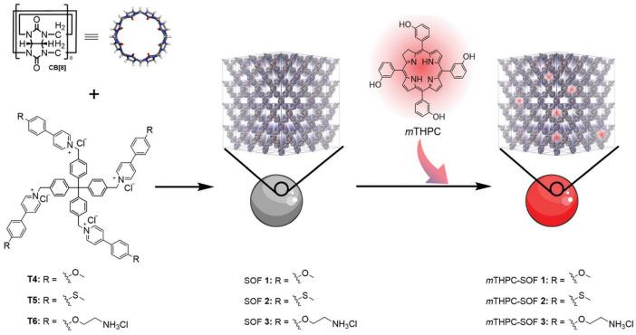 https://cdn.ncbi.nlm.nih.gov/pmc/blobs/dde1/11357536/4117e25ebe6e/molecules-29-03828-g013.jpg