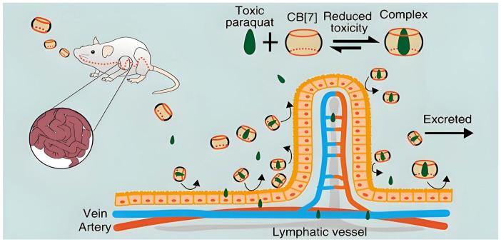 https://cdn.ncbi.nlm.nih.gov/pmc/blobs/dde1/11357536/5ad384bb941f/molecules-29-03828-g011.jpg