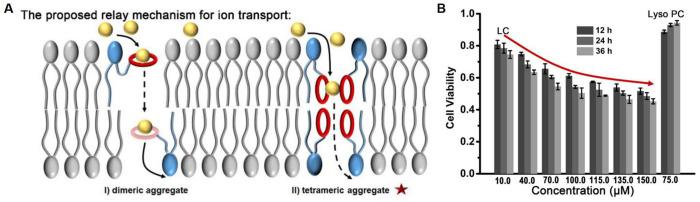 https://cdn.ncbi.nlm.nih.gov/pmc/blobs/dde1/11357536/84b554b3b0b5/molecules-29-03828-g003.jpg
