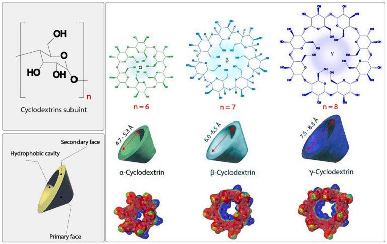 https://cdn.ncbi.nlm.nih.gov/pmc/blobs/dde1/11357536/8af18d368197/molecules-29-03828-g006.jpg