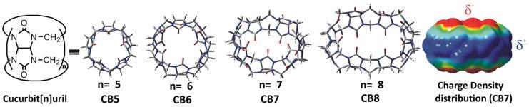 https://cdn.ncbi.nlm.nih.gov/pmc/blobs/dde1/11357536/db925dbf93a0/molecules-29-03828-g010.jpg
