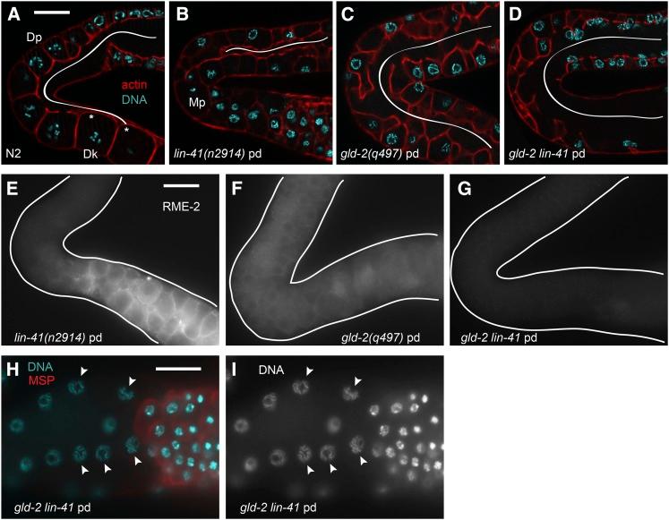 https://cdn.ncbi.nlm.nih.gov/pmc/blobs/dde1/4256770/6639184ec06e/1535fig12.jpg